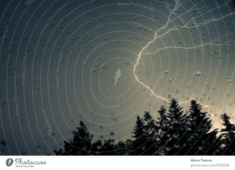 Die Kurve gekriegt. Natur Wassertropfen Himmel Nachthimmel schlechtes Wetter Unwetter Regen Gewitter Baum Wald beobachten berühren leuchten dunkel hell