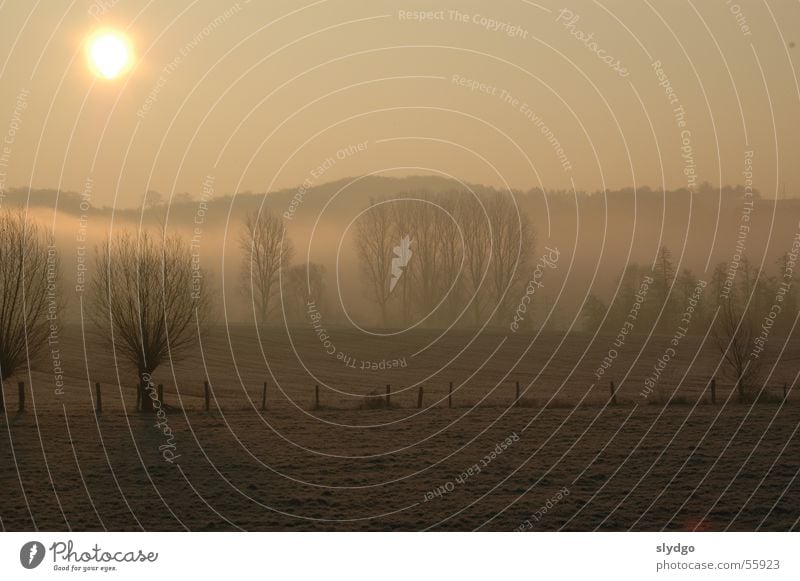 Die Erde lebt Sonnenaufgang Feld Baum Eichsfeld-Wipperaue