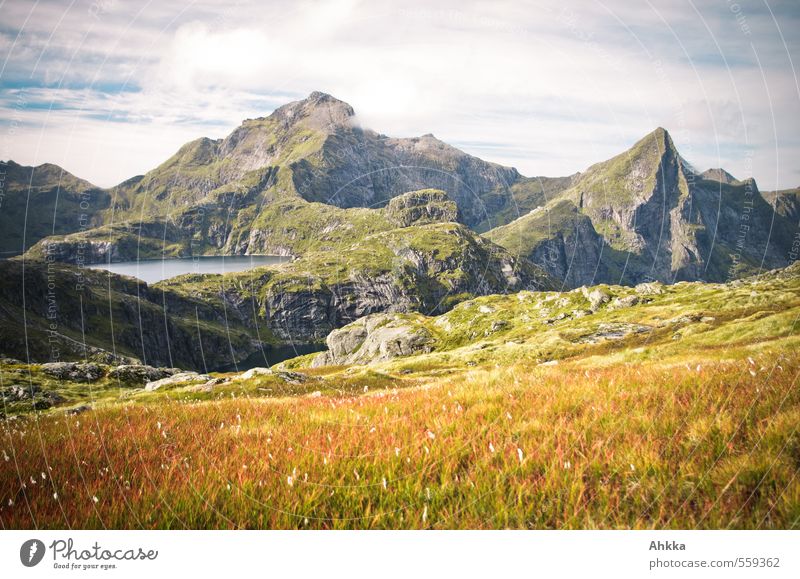 Gipfelblick ruhig Abenteuer Berge u. Gebirge Natur Landschaft Pflanze Moor Sumpf See gelb bizarr chaotisch Einsamkeit Erholung Ewigkeit Horizont Idylle