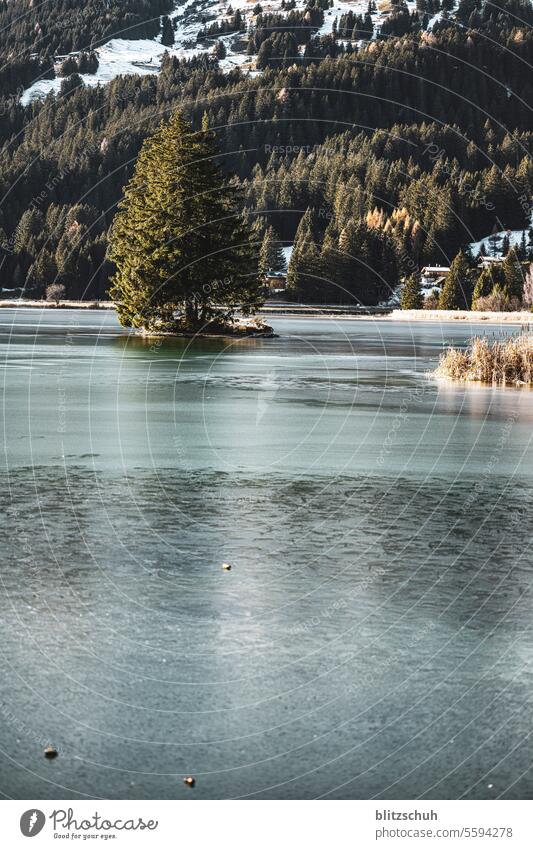 kleine Insel in einem zugefrorenen Bergsee in den Alpen See Eis gefroreren Berge Graubünden Lenzerheide Schwarzeis Winter Kalt Kälte Natur Landschaft Schweiz