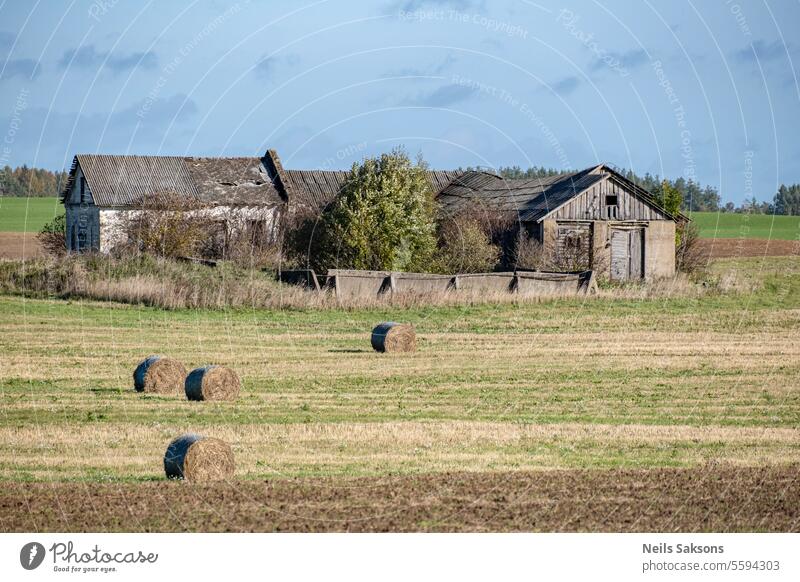 altes graues Gebäude inmitten eines Heubergs. Heuballen. Ballen Lettland Feld Haus Verlassen Ackerbau Strohballen Landschaft Wolken Ernte Sommer Scheune Dach