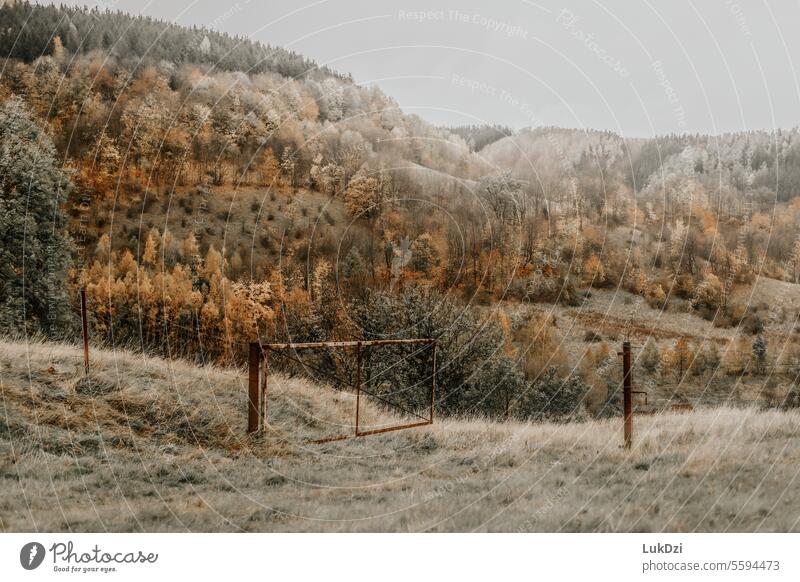 Berge Landschaft Blick im Herbst Saison sich[Akk] entspannen Oktober Natur keine Menschen Herbstlaub Herbstfarbe Wald fallen farbenfroh schön Herbstblattfarbe