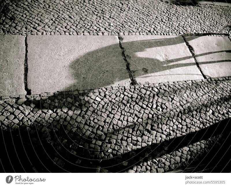 Windhund wirft langen Schatten auf den Gehweg Hund Haustier Tier Whippet Schattenspiel Bürgersteig Sonnenlicht Monochrom Wege & Pfade Gassi gehen Silhouette