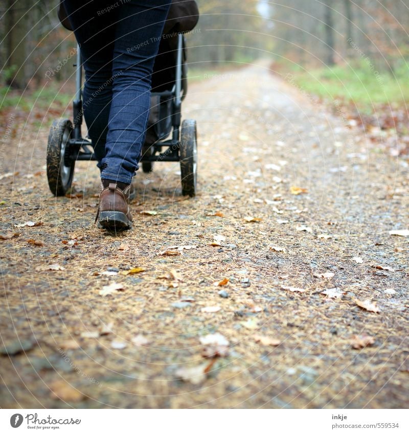 Herbstspaziergang Lifestyle Freizeit & Hobby Ausflug Waldspaziergang Frau Erwachsene Mutter Leben Unterleib 1 Mensch 30-45 Jahre Umwelt Natur Winter Blatt