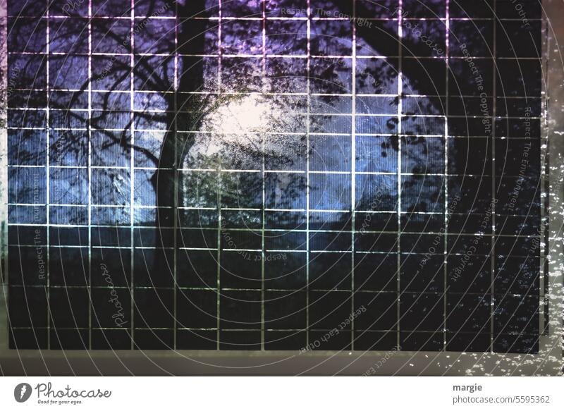 Bäume spiegeln sich im Solarmodul Erneuerbare Energie Baum Sonnenenergie Solarenergie Nachhaltigkeit Photovoltaik Klimaschutz nachhaltig Klimawandel