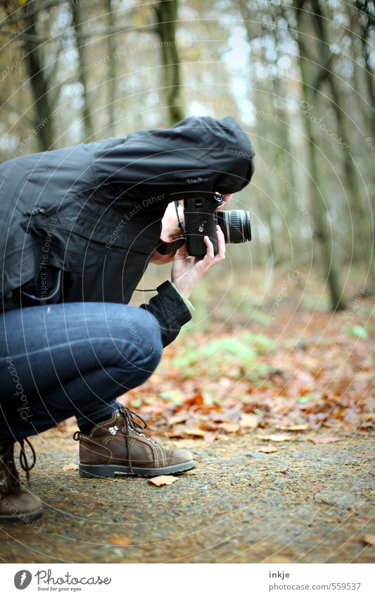 Herbstspaziergang Lifestyle Freizeit & Hobby Fotografieren Fotokamera Spiegelreflexkamera Frau Erwachsene Leben Körper 1 Mensch 30-45 Jahre Natur Winter Blatt