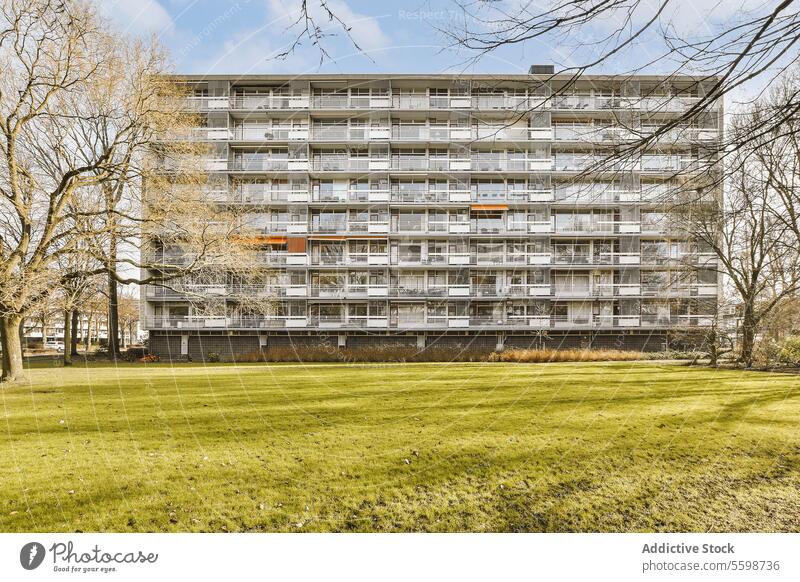 Rasenfläche vor einem Wohnhaus Appartement Gebäude Park Gras Baum modern Außenseite leer Garten Natur grün friedlich ruhig Großstadt Fenster wohnbedingt Revier