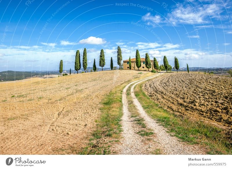 Toskana Ferien & Urlaub & Reisen Tourismus Sommerurlaub Haus Umwelt Natur Landschaft Himmel Baum genießen blau braun grün Italien Pienza Wege & Pfade Feld