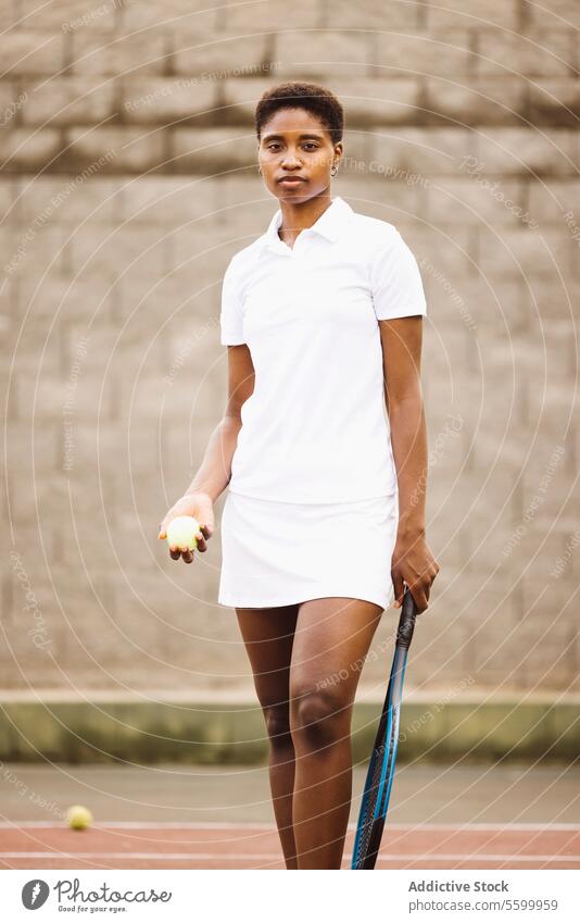 Junge Frauen mit einem Tennisschläger auf einem Tennisplatz aktiver Lebensstil Aktivität Amateur Athlet Ball schön schöne Frauen heiter Konkurrenz Gericht