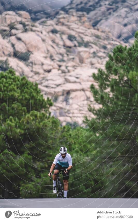 Mountainbike-Ansatz Radfahrer Fahrrad Berge u. Gebirge Straße blau Trikot Schutzhelm Kiefer Baum im Freien Sport nähern Fitness Natur Mitfahrgelegenheit