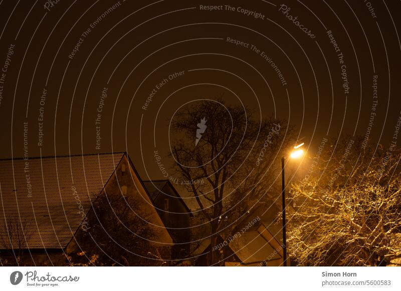 In dörflicher Umgebung wird nachts ein von Schnee bedeckter Baum von einer Straßenlaterne erhellt, es schneit Winter dunkel Winternacht Beleuchtung