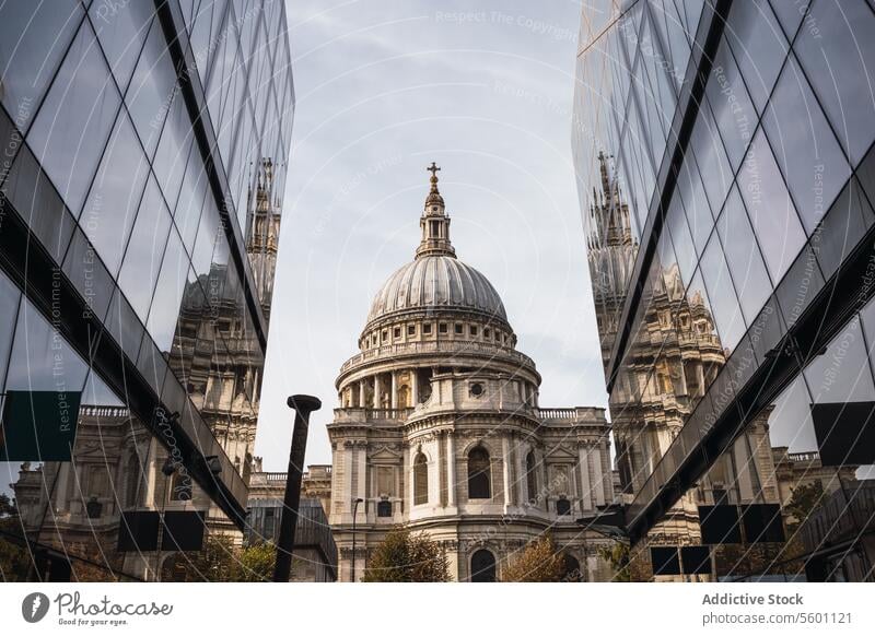 Spiegelung der St. Paul's Cathedral in modernen Glasgebäuden London St. Pauls Cathedrale Reflexion & Spiegelung Gebäude Architektur Skyline Stadtbild