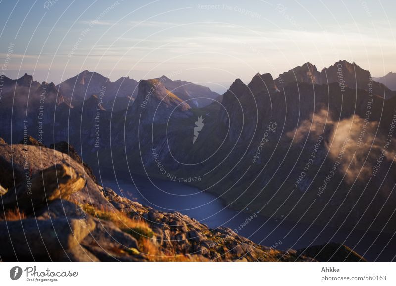 Das erste Licht II Abenteuer Natur Landschaft Sonnenaufgang Sonnenuntergang Schönes Wetter Moos Felsen Berge u. Gebirge Gipfel Bucht Fjord See genießen Stimmung