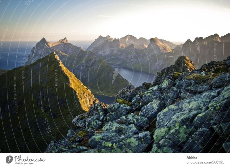 Das erste Licht Natur Landschaft Wolkenloser Himmel Schönes Wetter Felsen Berge u. Gebirge Gipfel Fjord Meer Berghang Stimmung Lebensfreude Frühlingsgefühle