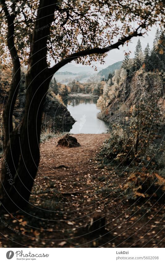 Bergsee mit herbstlichem Wald an einem bewölkten Tag Berge Farbe Farbbild Gewässer Wasser Seen Gebirgsketten Bergkette Gelände Landschaften Ausschau halten