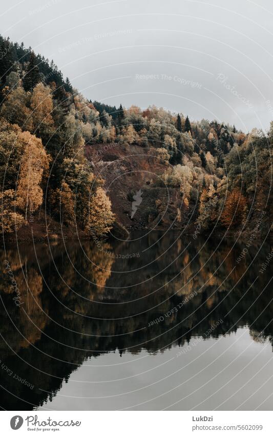 Bergsee mit herbstlichem Wald an einem bewölkten Tag Berge Farbe Farbbild Gewässer Wasser Seen Gebirgsketten Bergkette Gelände Landschaften Ausschau halten