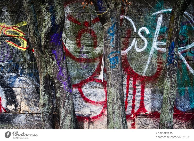 Vexierbild mit Bäumen I Beschmierte Baumstämme vor einer beschmierten Wand Mimikry Graffiti Außenaufnahme Natur Farbfoto Umwelt Baumstamm Pflanze bunt