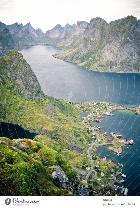 besiedelt Natur Landschaft Moos Berge u. Gebirge Gipfel Küste Seeufer Bucht Fjord Dorf Fischerdorf Hafenstadt Menschenleer Straße Wege & Pfade Wegkreuzung