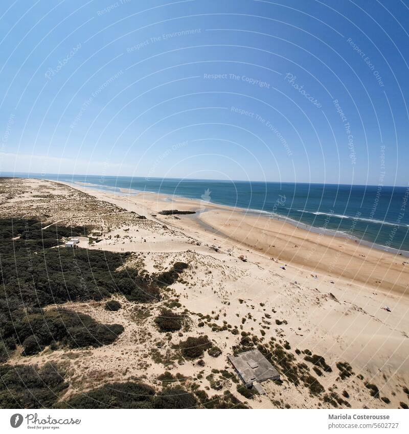 Atlantikküste atlantikküste strand meer reisen wasser sommer ferien urlaub düne sand