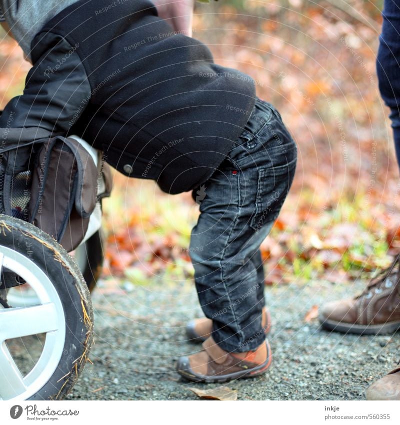 Herbstspaziergang Lifestyle Freizeit & Hobby Ausflug Baby Kleinkind Junge Kindheit Leben Körper 1 Mensch 0-12 Monate 1-3 Jahre Natur Winter Wege & Pfade Fußweg