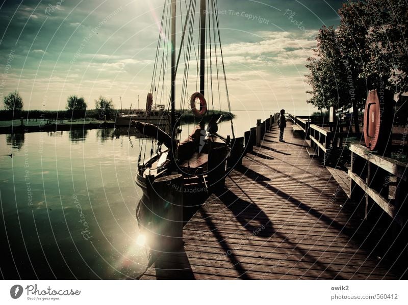 Ahrenshoop Ferien & Urlaub & Reisen Tourismus Frau Erwachsene 1 Mensch Wasser Himmel Wolken Horizont Baum Sträucher Fischerdorf bevölkert Bootsfahrt Segelboot