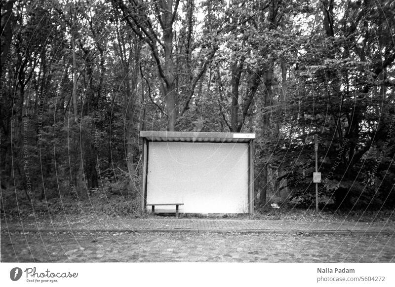 Bushaltestelle an der B105 analog Analogfoto sw schwarzweiß Schwarzweißfoto Haltestelle Wartehaus Wartehäuschen Bank Wald Fahrplan Wand Dach Gehweg Straße