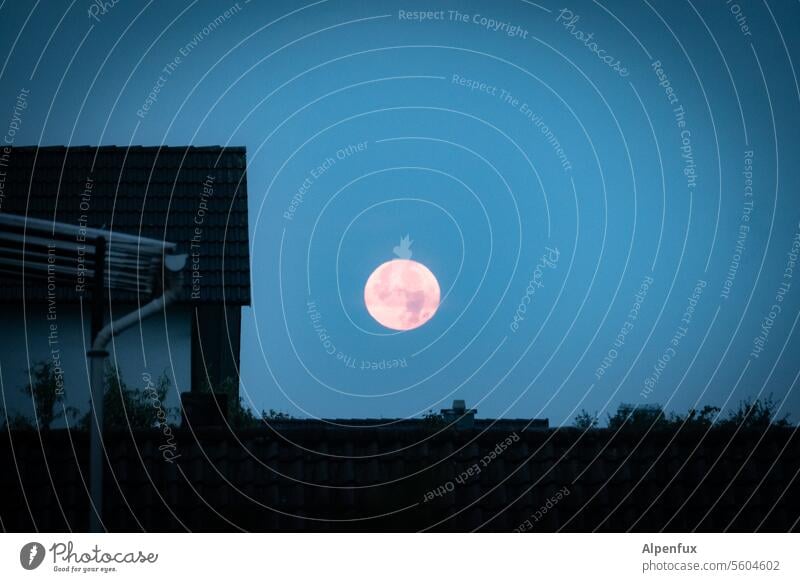 wieder mal total voll... Mond Vollmond rund Nacht Himmel Außenaufnahme Mondschein Vollmondnacht Nachthimmel dunkel Natur Stimmung Menschenleer Mondaufgang