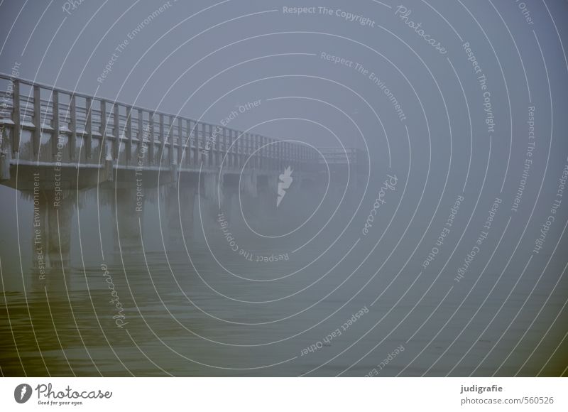 Küstennebel, sehr kalt Natur Winter Klima schlechtes Wetter Nebel Eis Frost Strand Ostsee Brücke außergewöhnlich bedrohlich dunkel gruselig Stimmung Umwelt