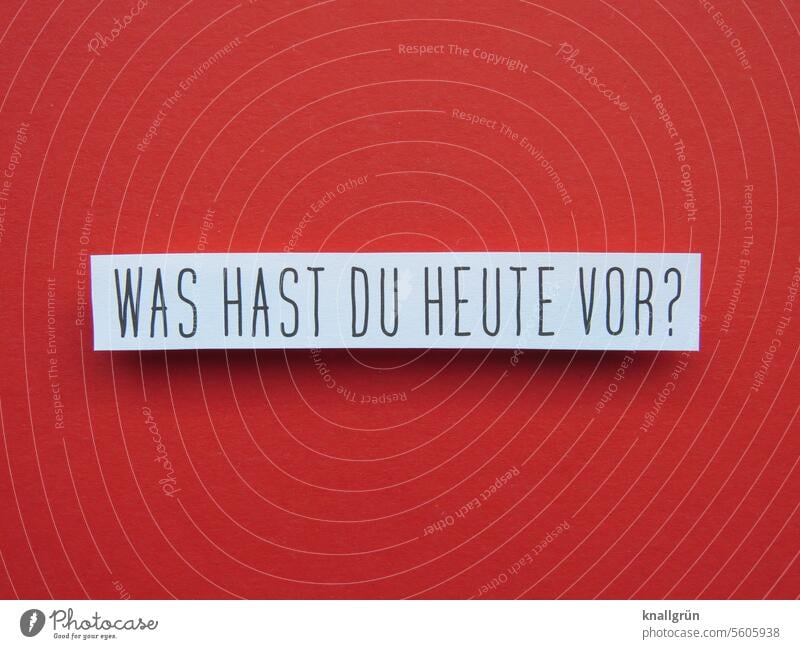 Was hast du heute vor? Frage Interesse Neugier Kommunizieren Kommunikation Schriftzeichen Schilder & Markierungen Buchstaben Erwartung Menschenleer