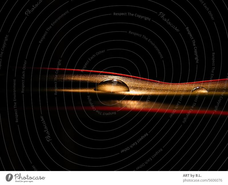 manchmal reicht schon etwas Licht um das Schöne der Natur zu sehen makro nahaufnahme blatt tropfen regentropfen wasser wassertropfen licht dunkel erhellt rot