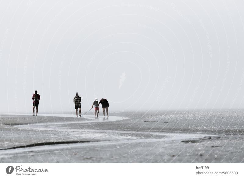 Wattwanderung Wattwandern Nordseeinsel Ebbe und Flut Strand Meer Küste Sand Ferien & Urlaub & Reisen Wasser Gezeiten Himmel Erholung Horizont Landschaft Schlamm