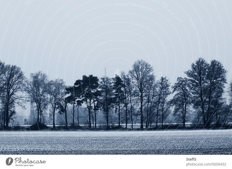 Winterlandschaft mit einer Baumreihe und Strommasten im Hintergrund Bäume Winterbäume Freileitungsmasten Hochspannungsmast Schnee Feld schneebedeckt Acker