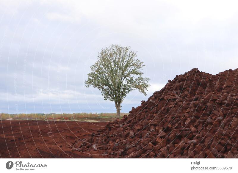 Herbstzeit | Torfabbau im Moor Moorlandschaft Baum Himmel Landschaft Natur Menschenleer Außenaufnahme Umwelt Sumpf natürlich Farbfoto Einsamkeit Wolken