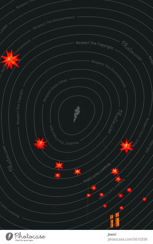 Die Sterne zeigen uns den Weg Altstadt Sternenhimmel rot Himmel Weihnachtsbeleuchtung Weihnachten & Advent Heiligabend festlich leuchten Licht Stimmung