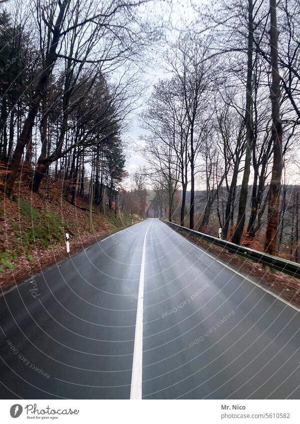 Landstraße Herbstwetter Fahrbahnmarkierung Durchgezogene Linie überholverbot unterwegs Verkehr Autofahren Asphalt geradeaus Baum Umwelt Landschaft