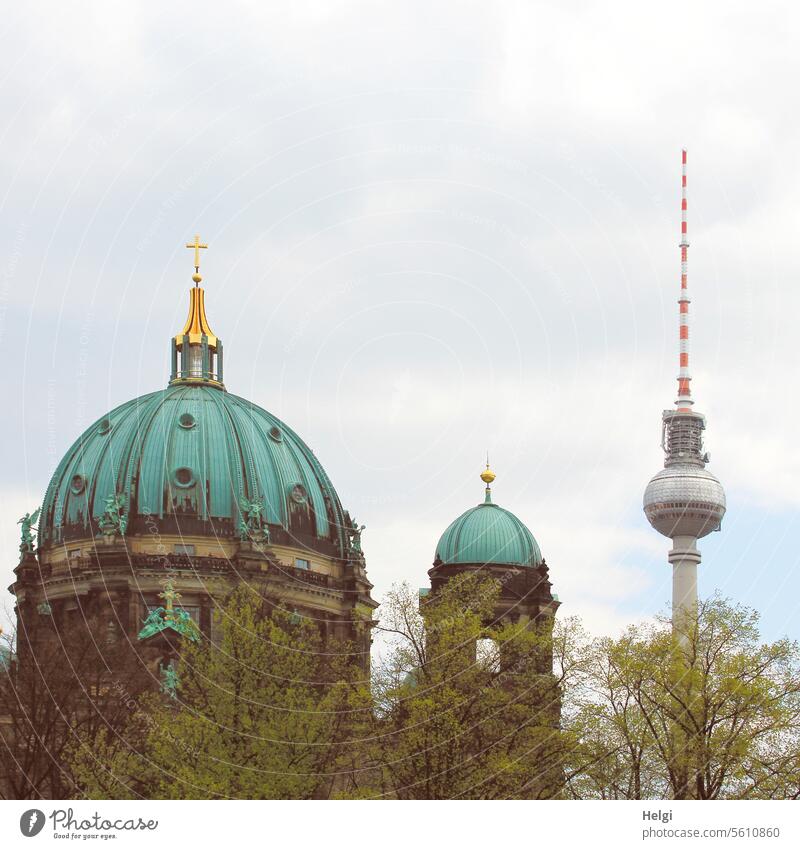 Berlin, Berlin ... Fernsehturm Dom Bauwerk Gebäude Baum Turm Architektur alt historisch Hauptstadt Berliner Fernsehturm Wahrzeichen Sehenswürdigkeit