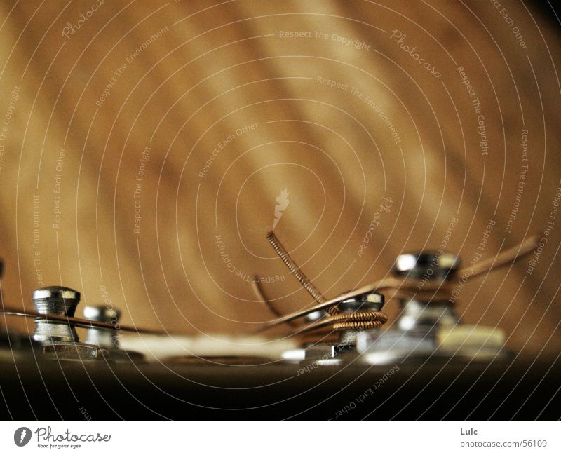 Strings of Silence Physik Musical Musik guitar Wärme strings attached spikes inddoor close-up towards the wooden floor.