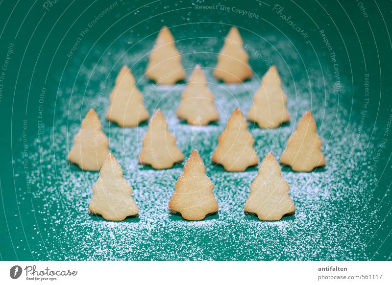 Schönes Plätzchen II Lebensmittel Teigwaren Backwaren Ernährung Essen Feste & Feiern Winter Schnee Schneefall Baum Tanne Wald Zeichen Weihnachtsbaum