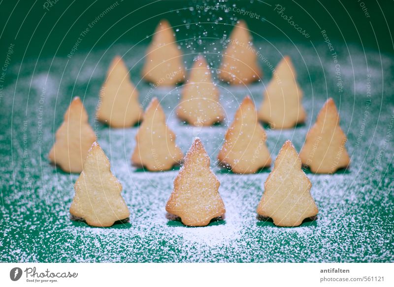 Schönes Plätzchen III Lebensmittel Teigwaren Backwaren Ernährung Essen Winter Schnee Schneefall Baum Wald Zeichen Weihnachtsbaum stehen Fröhlichkeit natürlich