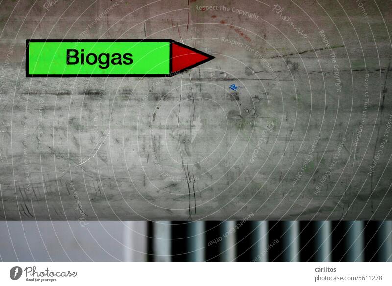 Biogas | Kühe pupsen gegen Putin Alternative Energiewirtschaft Erneuerbare Energie umweltfreundlich Klimawandel Umweltschutz nachhaltig ökologisch