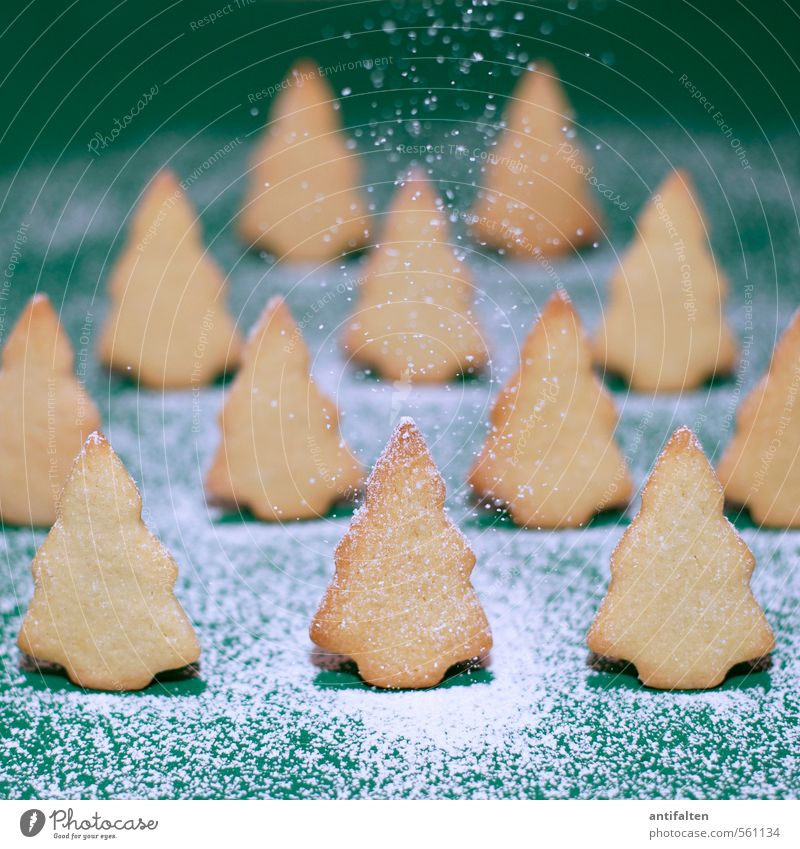 Schönes Plätzchen IV Lebensmittel Teigwaren Backwaren Ernährung Essen Winter Schnee Natur Schneefall Baum Tanne Wald Zeichen Weihnachtsbaum stehen Fröhlichkeit