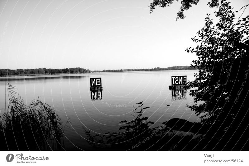 Einstein Gemeinde Schwielowsee Caputh See Text Boje ruhig Gewässer Schwarzweißfoto Wasser einstein Küste Schilder & Markierungen Natur Klarheit Außenaufnahme