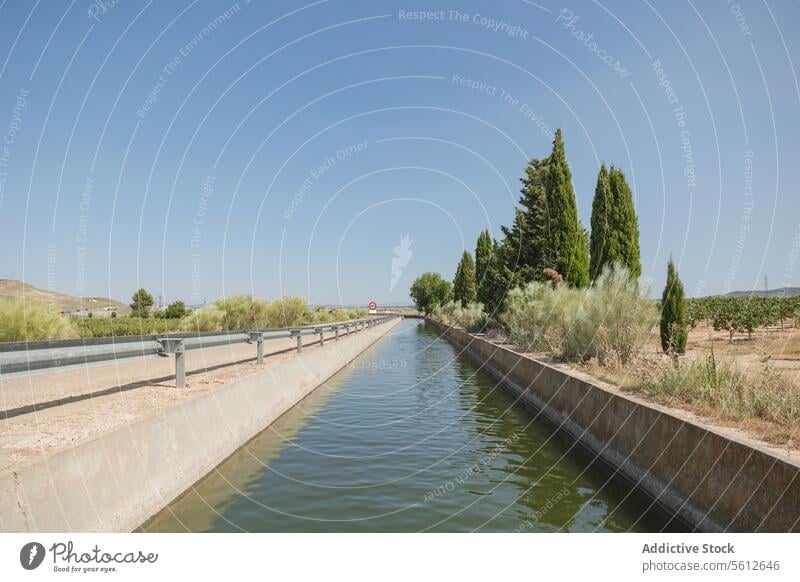 Ruhiger Bewässerungskanal inmitten von üppigem Grün Kanal Wasser Ackerbau Feld Zypresse Baum Himmel blau Gelassenheit Ruhe ländlich Landschaft übersichtlich