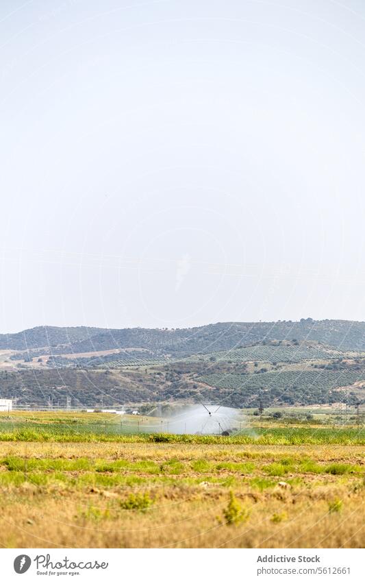 Sanfte Hügel mit landwirtschaftlichem Bewässerungssystem Landschaft Ackerbau System Ernte Wasser sonnig Tag Gelassenheit rollierend Feld Natur ländlich