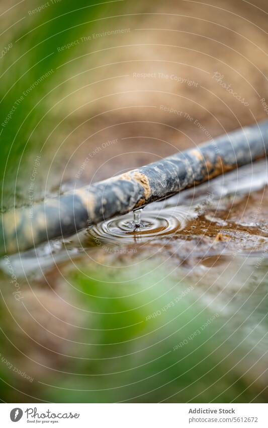 Wassertropfen Bewässerungssystem tropft aus Rohr in Pfütze Tropfen tropfend Rust Röhren Rippeln Nahaufnahme Metall fallen Natur Wasserschutz Leck liquide