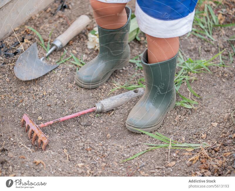 Hoher Winkel von Harke und Kelle von anonymen Kind in Stiefeln und Shorts im Garten stehend Boden Gummi Stehen Blatt Hinterhof Bein gesichtslos Werkzeug