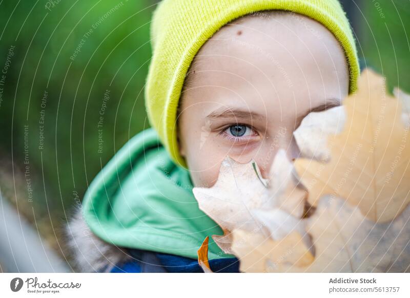 Kind mit einem Herbstblatt, das sein Gesicht bedeckt Blatt Auge Junge Natur Unschuld Schönheit fallen saisonbedingt Porträt im Freien jung golden guckend