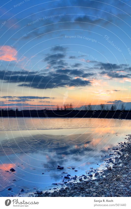 Winterlandschaft Natur Landschaft Wasser Himmel Sonnenaufgang Sonnenuntergang Schönes Wetter Eis Frost Küste Seeufer frei frisch kalt natürlich blau grau