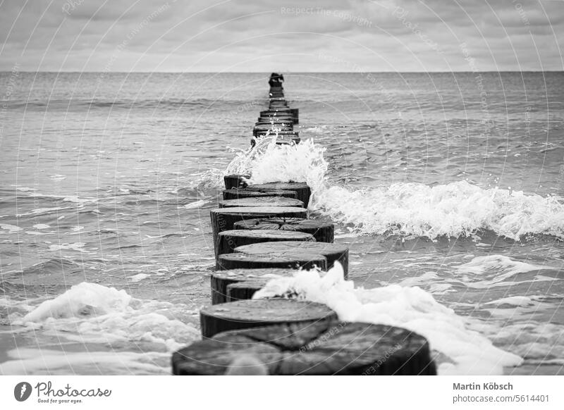 Buhnen ragen in die Ostsee hinaus. Hölzerne Stämme zum Schutz der Küste. Landschaft MEER Strand Wasser Windstille Urlaub Erholung baltisch winken Natur Sand