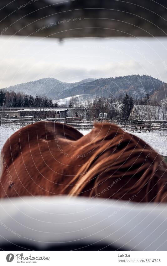 Berglandschaft an einem Wintertag Farbe Farbbild Fotos Fotografie Gebirgsketten Bergkette Gelände Landschaften Ansicht Bergige Region Berglandschaften